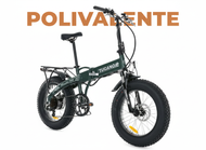 Rent bike polivalente